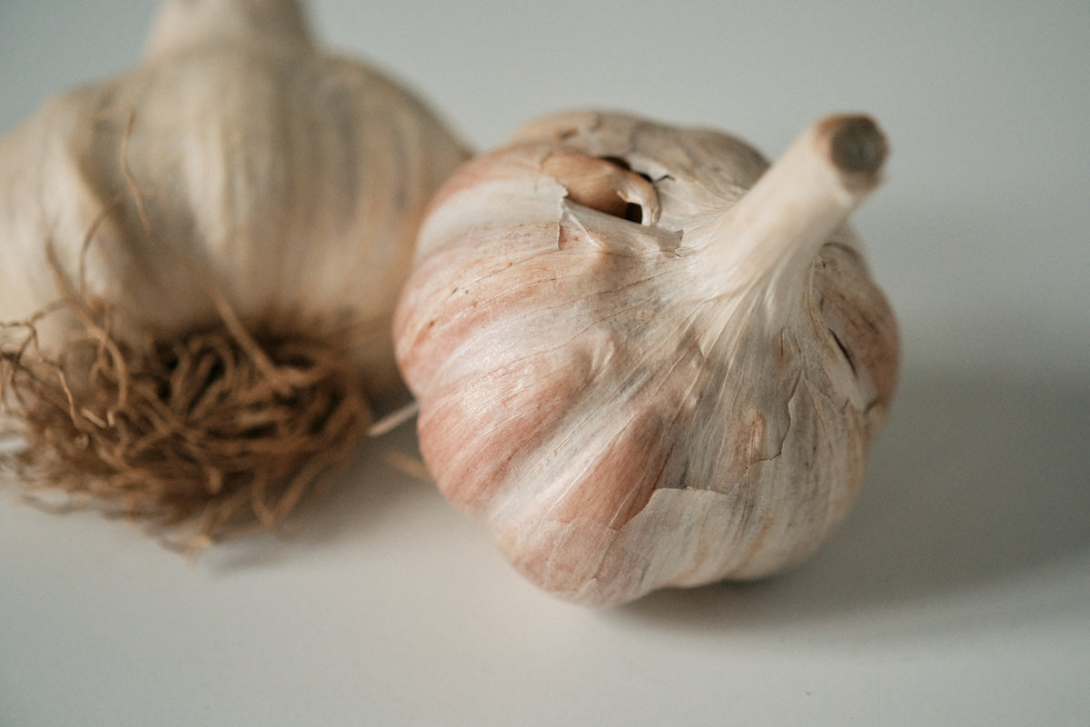 Korean (Rocambole Garlic)