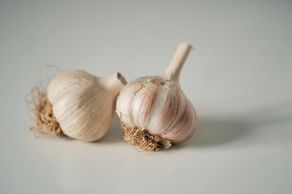 Korean (Rocambole Garlic)