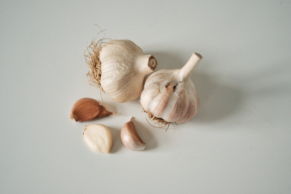 Korean (Rocambole Garlic)