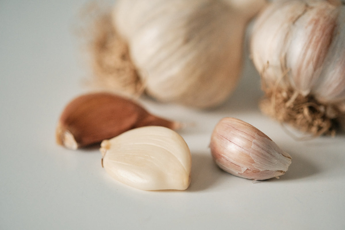 Korean (Rocambole Garlic)
