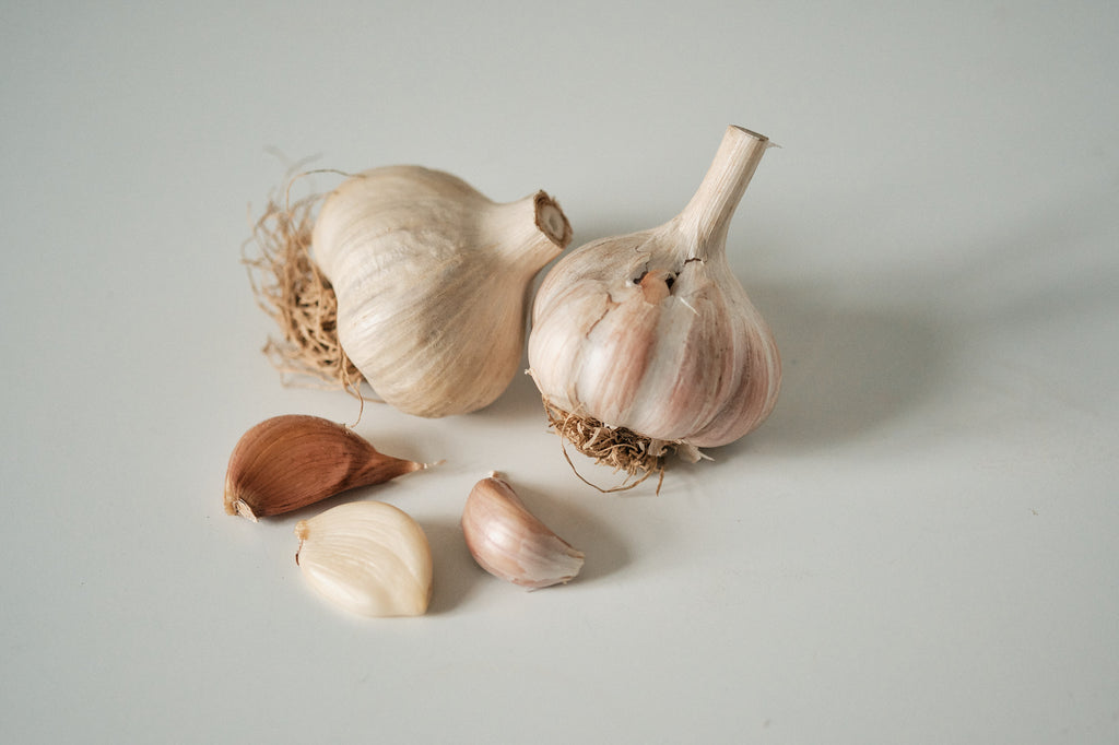 Korean (Rocambole Garlic)