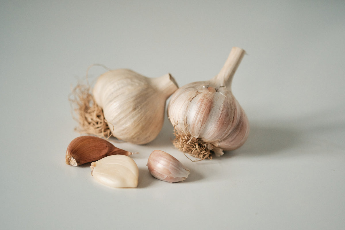 Korean (Rocambole Garlic)