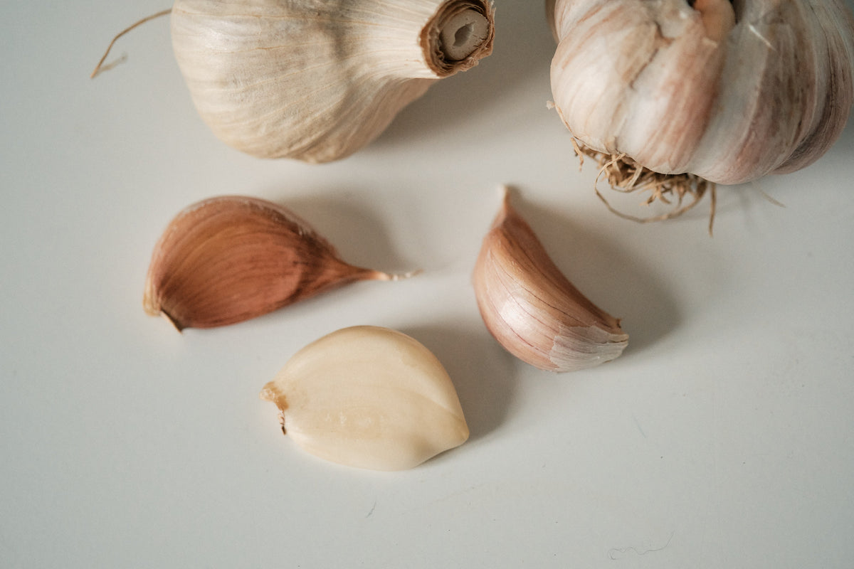 Korean (Rocambole Garlic)