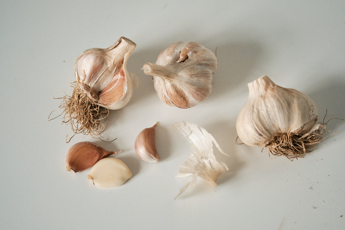 Korean (Rocambole Garlic)