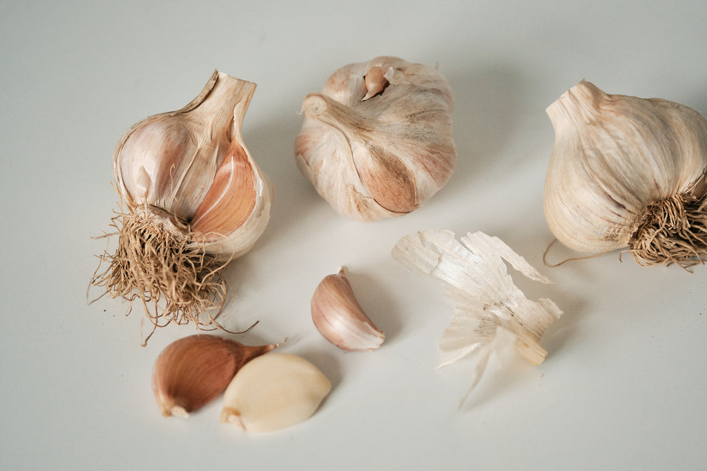 Korean (Rocambole Garlic)