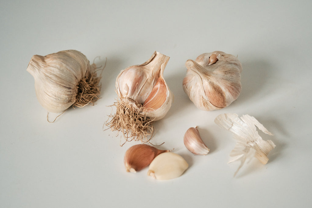 Korean (Rocambole Garlic)