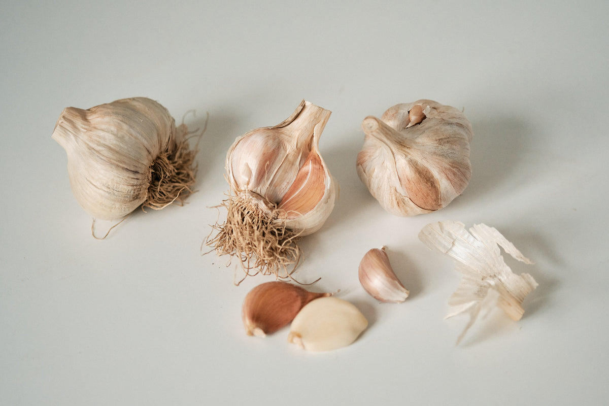 Korean (Rocambole Garlic)