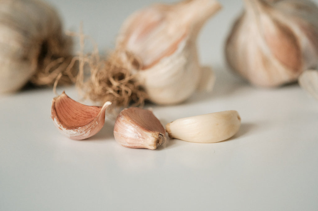 Korean (Rocambole Garlic)