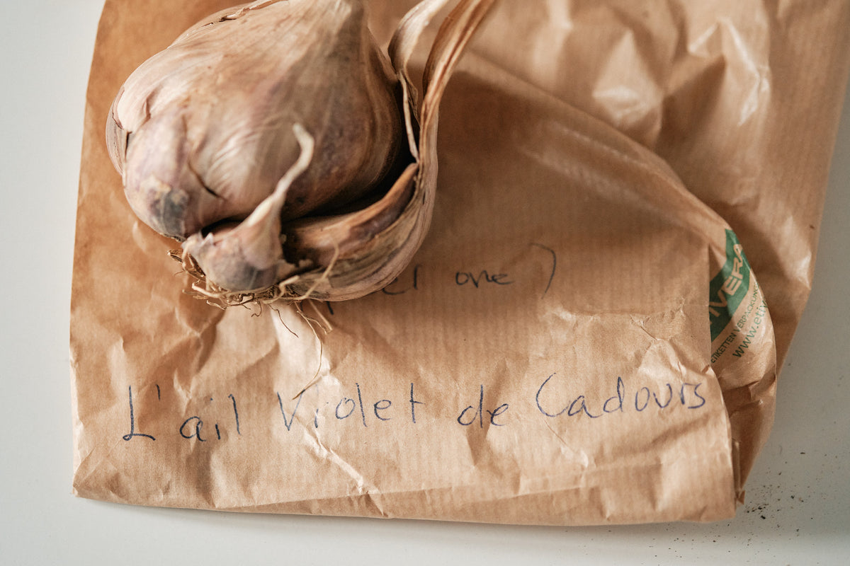 L’Ail Violet (Artichoke Garlic)