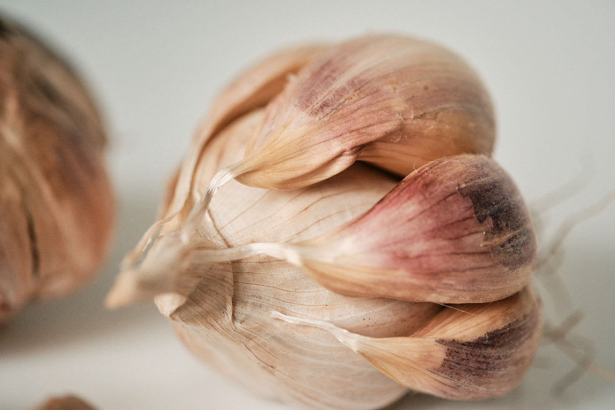 L’Ail Violet (Artichoke Garlic)