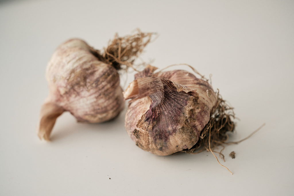 Laos (Turban Garlic)