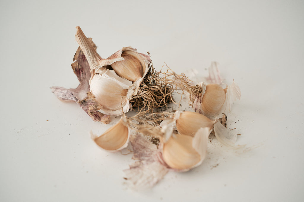 Laos (Turban Garlic)
