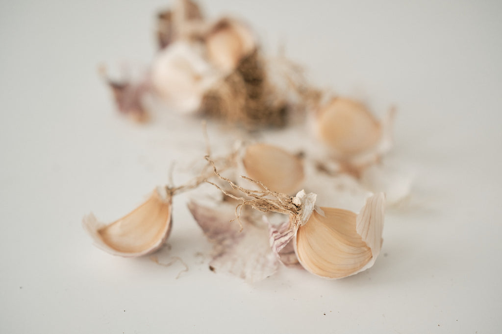 Laos (Turban Garlic)