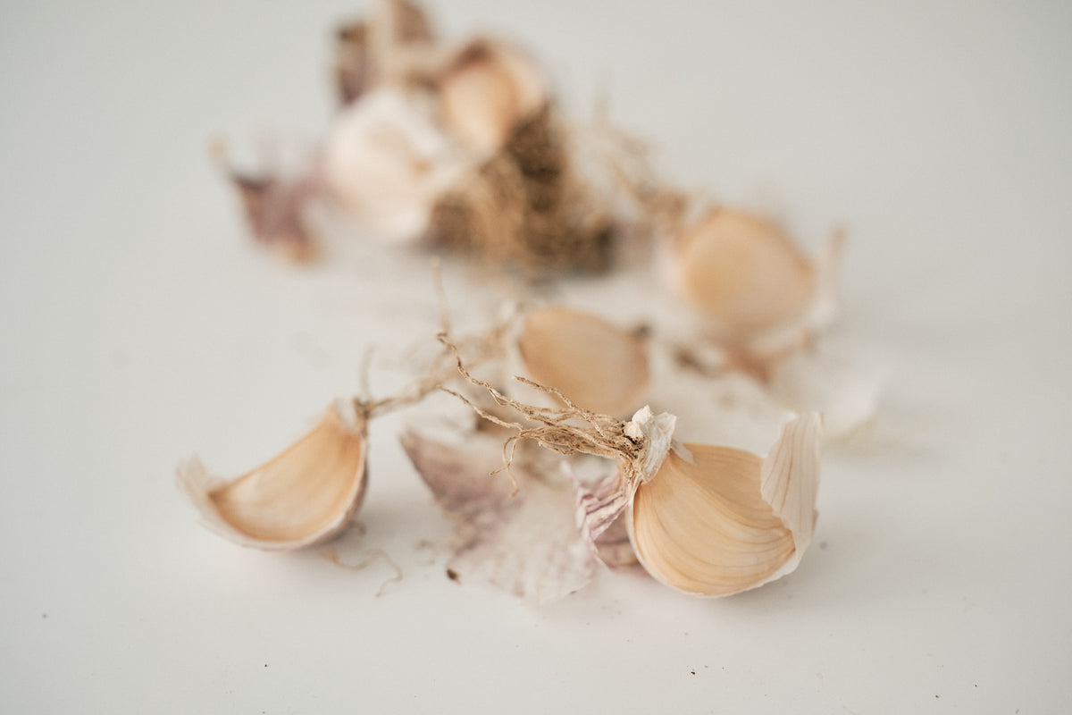 Laos (Turban Garlic)