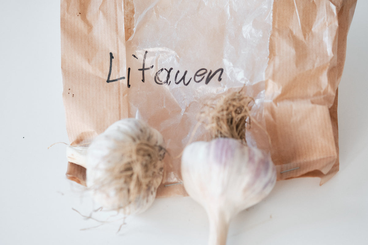 Lithuanian (Marbled Purple Stripe Garlic)