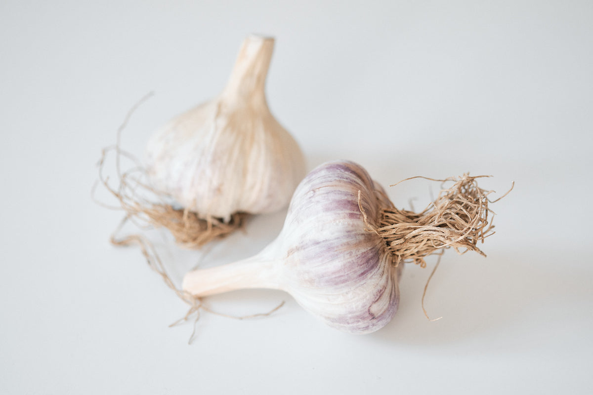 Lithuanian (Marbled Purple Stripe Garlic)