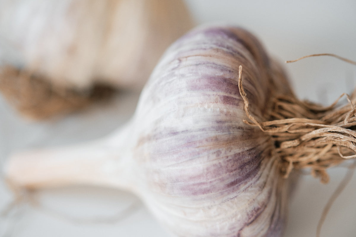 Lithuanian (Marbled Purple Stripe Garlic)