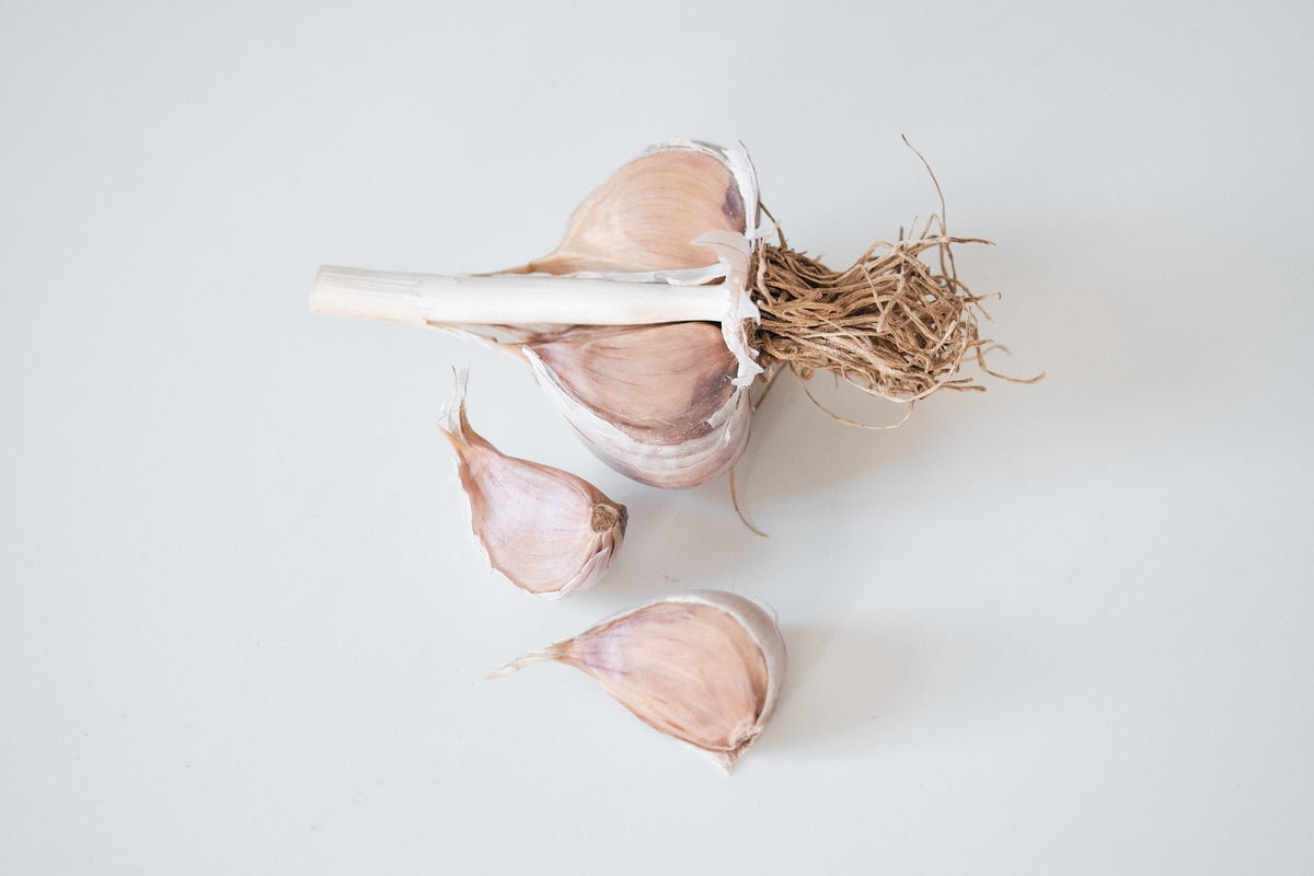 Lithuanian (Marbled Purple Stripe Garlic)