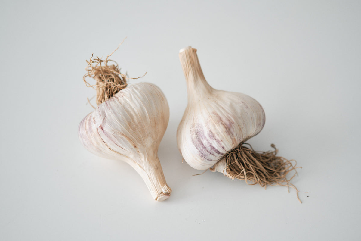 Ljubascha (Marbled Purple Stripe Garlic)