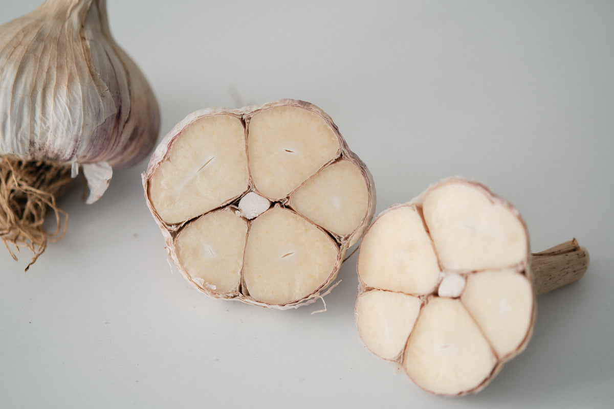Ljubascha (Marbled Purple Stripe Garlic)