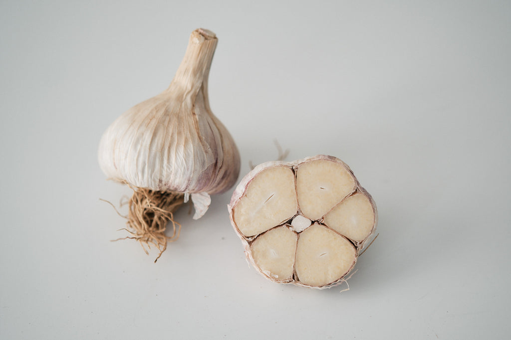 Ljubascha (Marbled Purple Stripe Garlic)