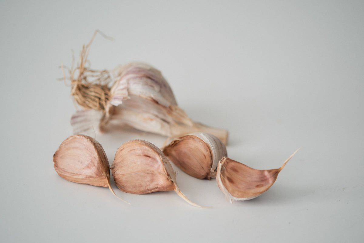 Ljubascha (Marbled Purple Stripe Garlic)