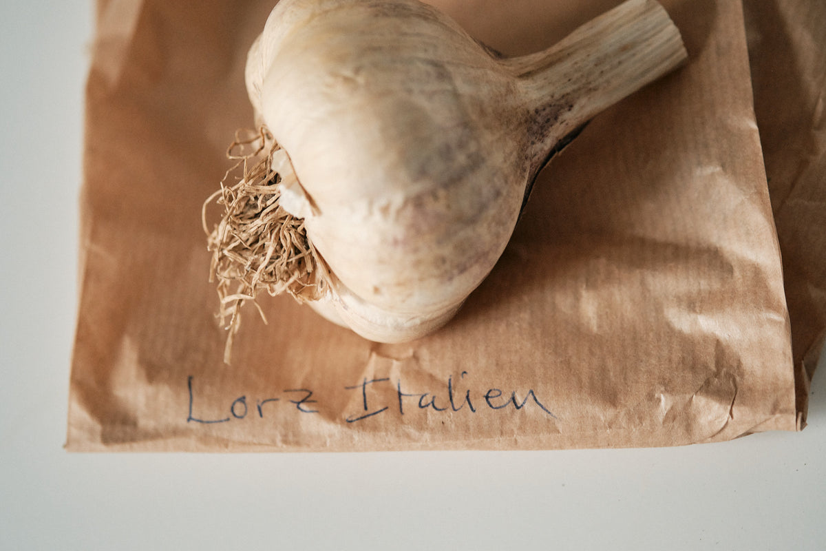 Lorz Italian (Artichoke Garlic)