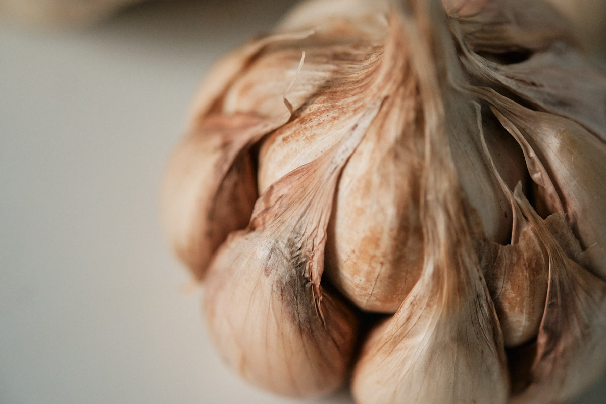Lorz Italian (Artichoke Garlic)