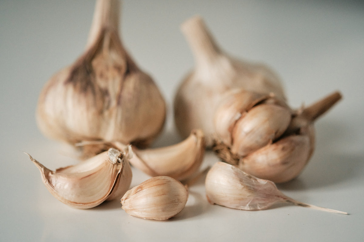 Lorz Italian (Artichoke Garlic)