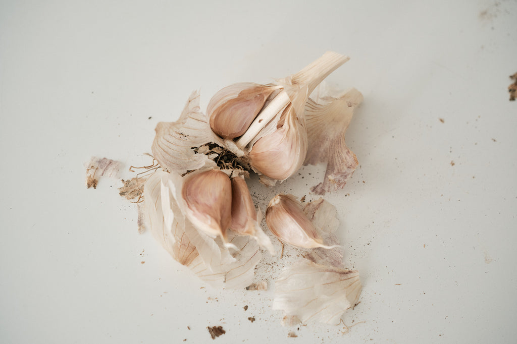 Palicak (Glazed Purple Stripe Garlic)