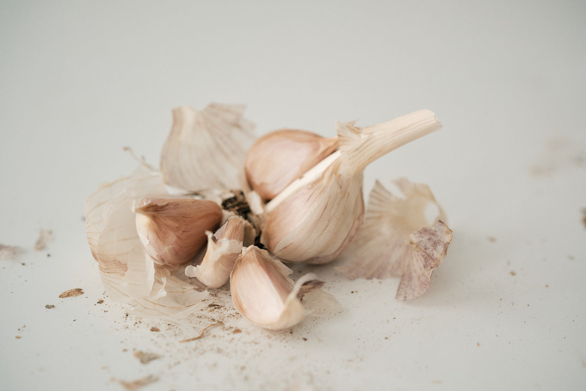 Palicak (Glazed Purple Stripe Garlic)