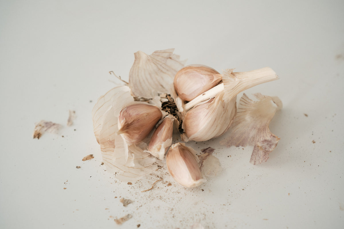 Palicak (Glazed Purple Stripe Garlic)