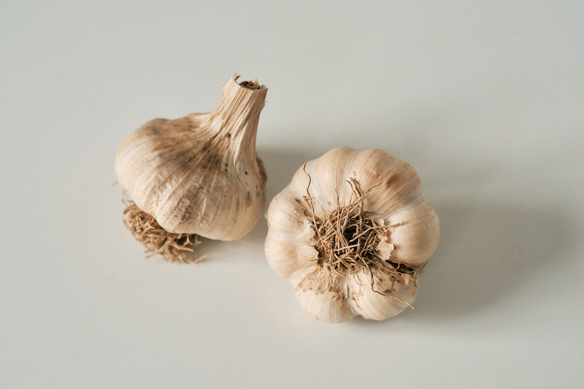 Polish Softneck (Artichoke Garlic)