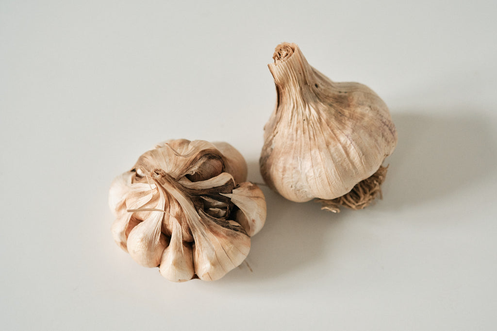 Polish Softneck (Artichoke Garlic)