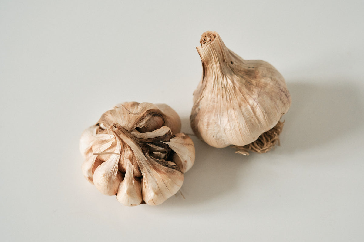 Polish Softneck (Artichoke Garlic)