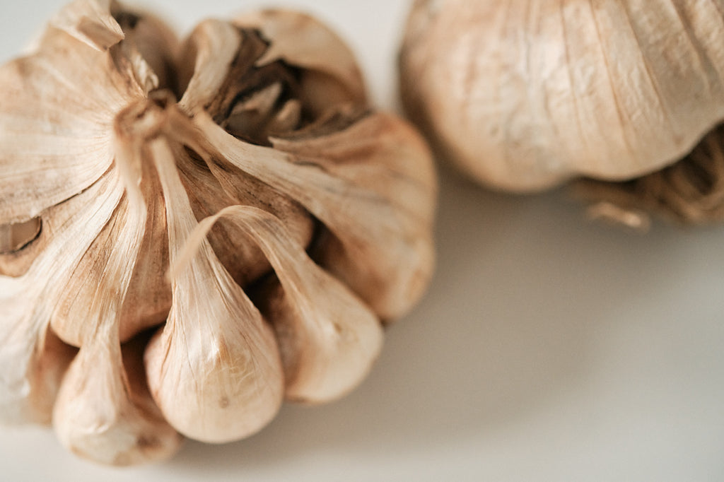 Polish Softneck (Artichoke Garlic)