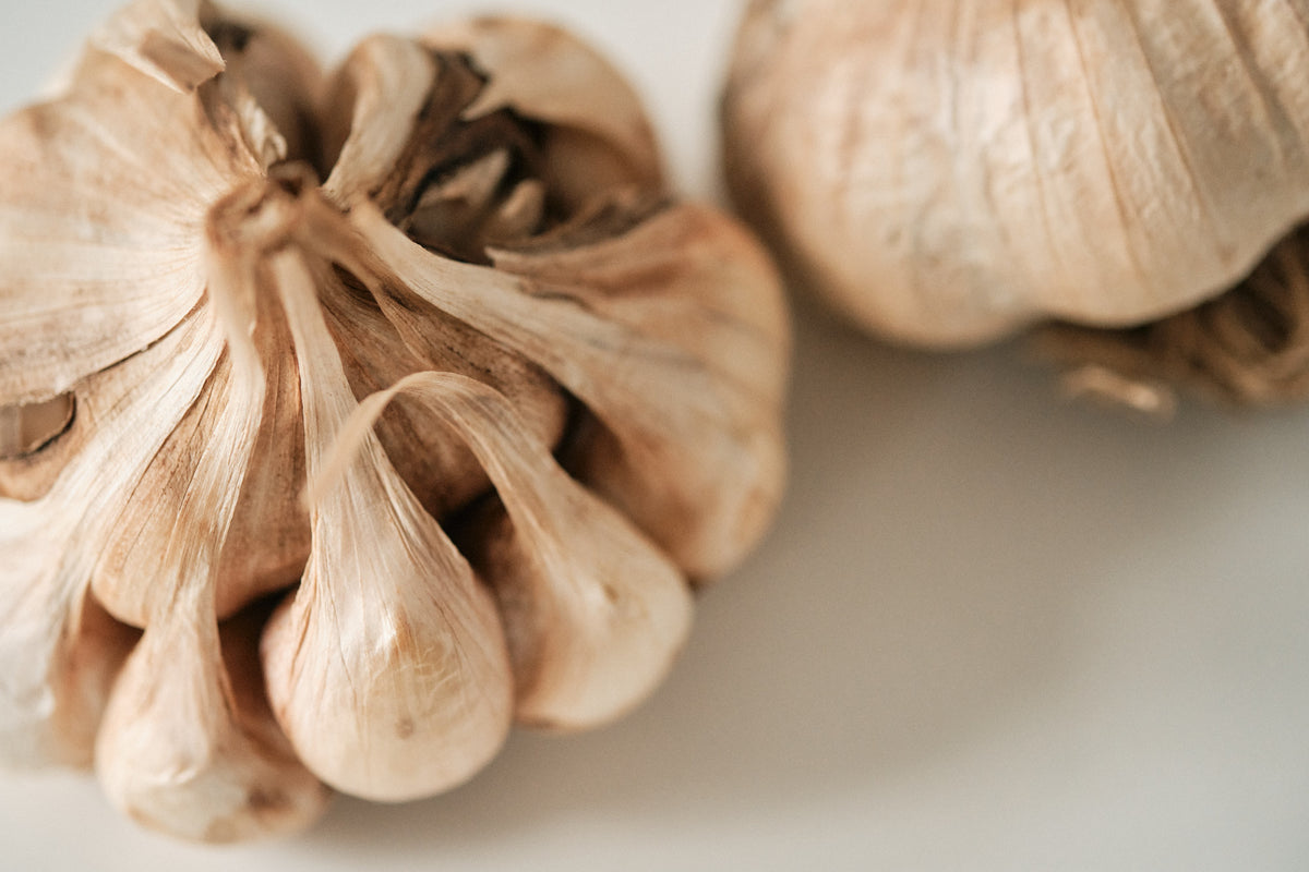 Polish Softneck (Artichoke Garlic)