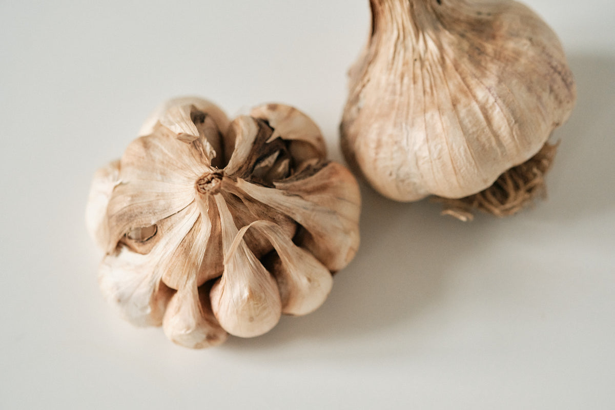 Polish Softneck (Artichoke Garlic)