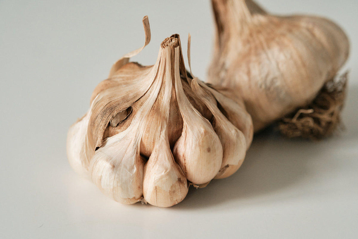 Polish Softneck (Artichoke Garlic)
