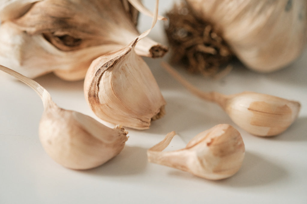Polish Softneck (Artichoke Garlic)