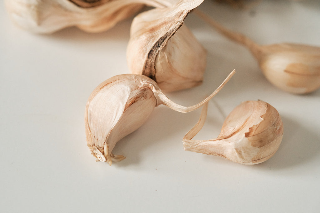 Polish Softneck (Artichoke Garlic)