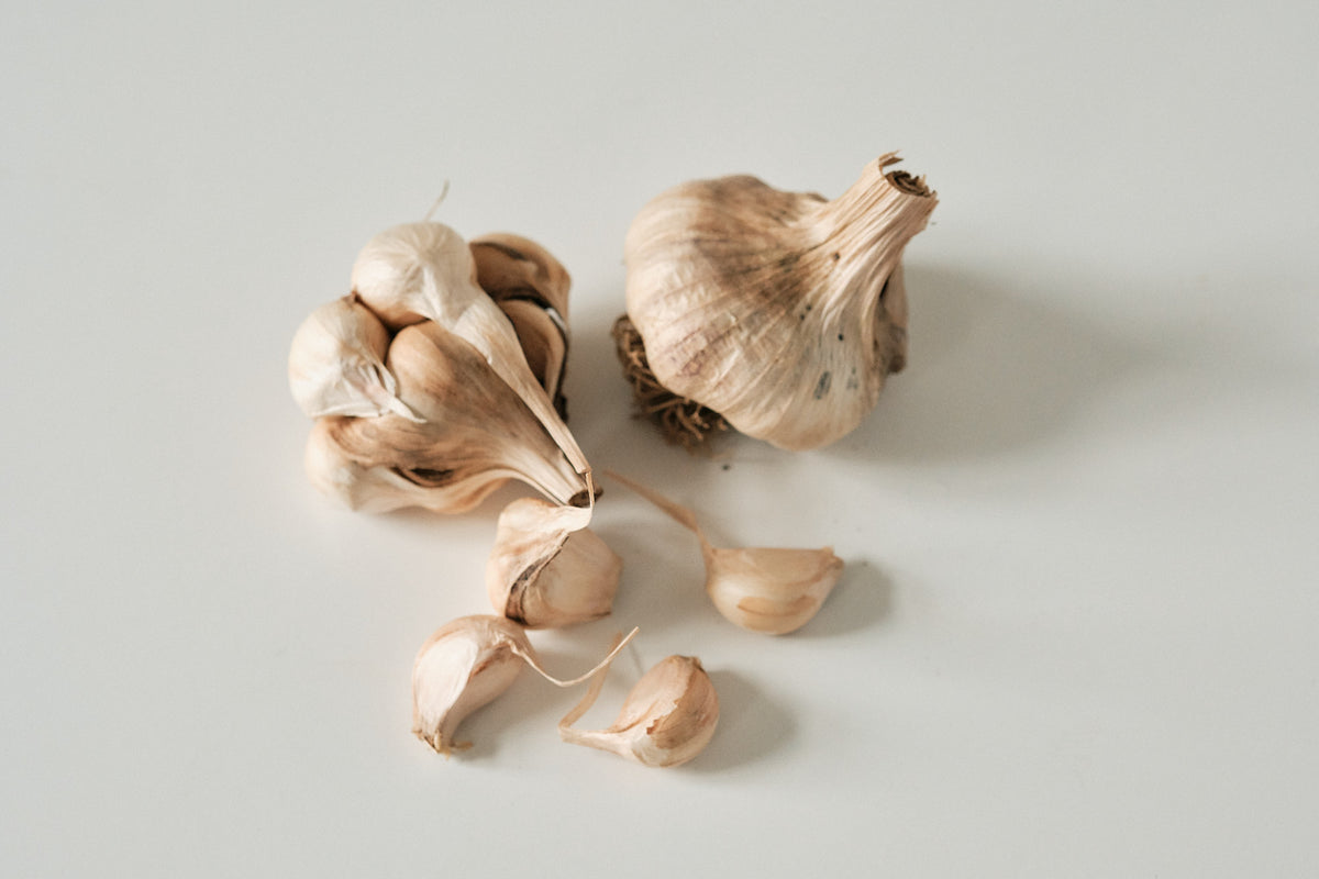 Polish Softneck (Artichoke Garlic)