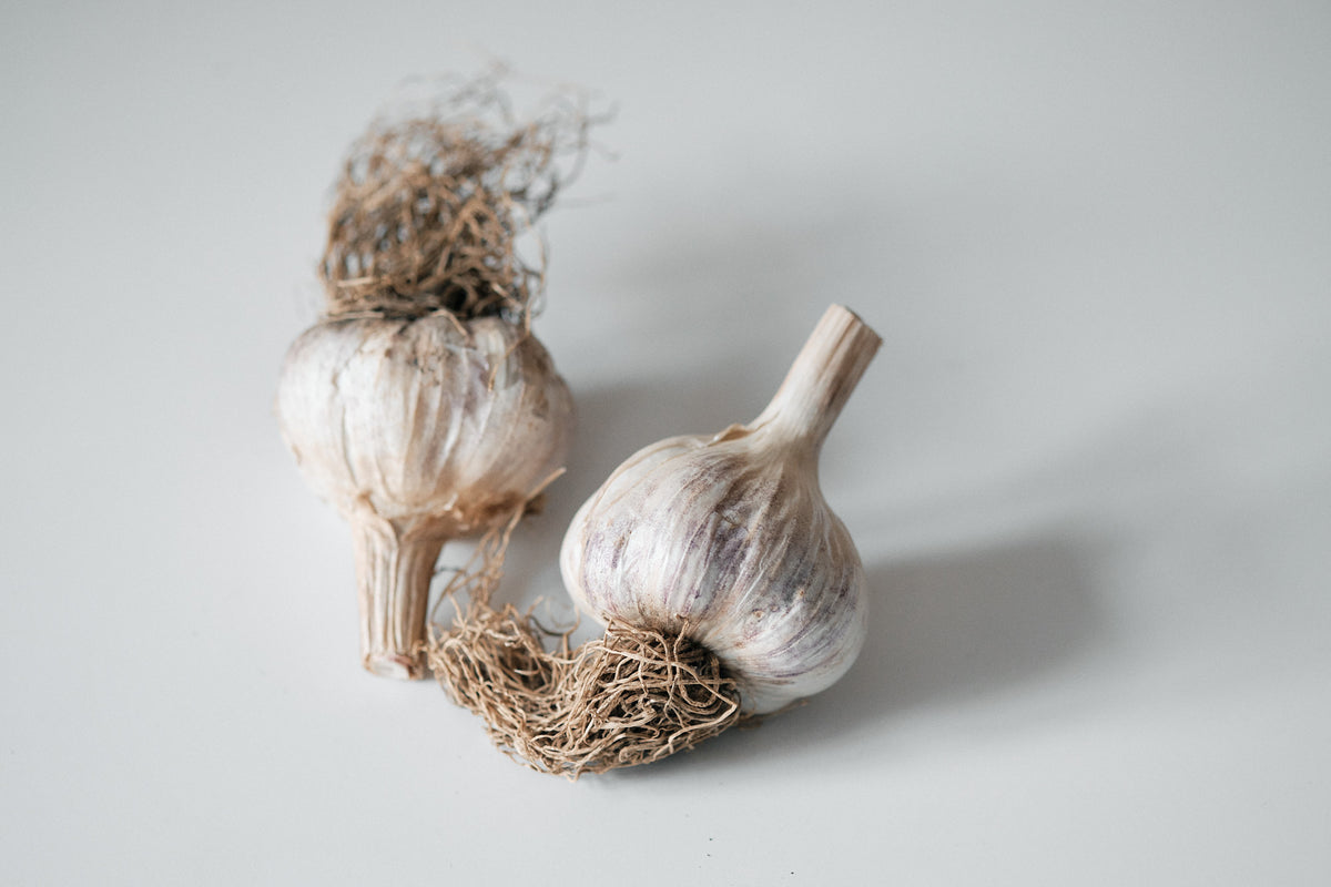 Purple Glazer (Glazed Purple Stripe Garlic)
