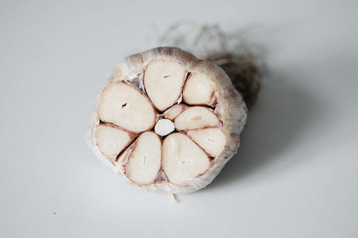 Purple Glazer (Glazed Purple Stripe Garlic)