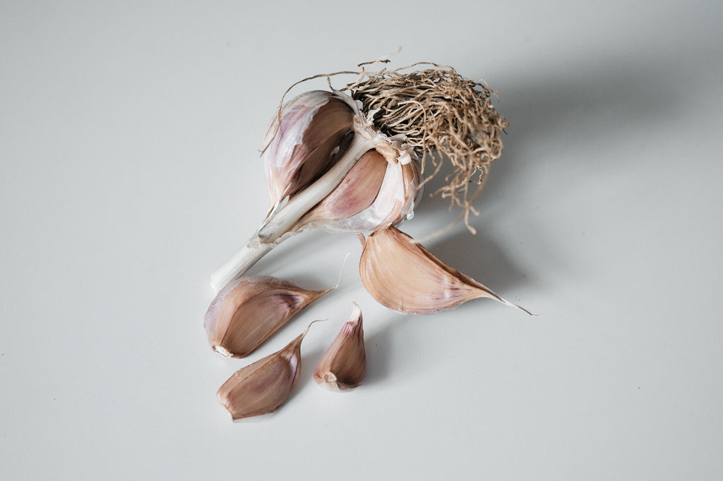 Purple Glazer (Glazed Purple Stripe Garlic)