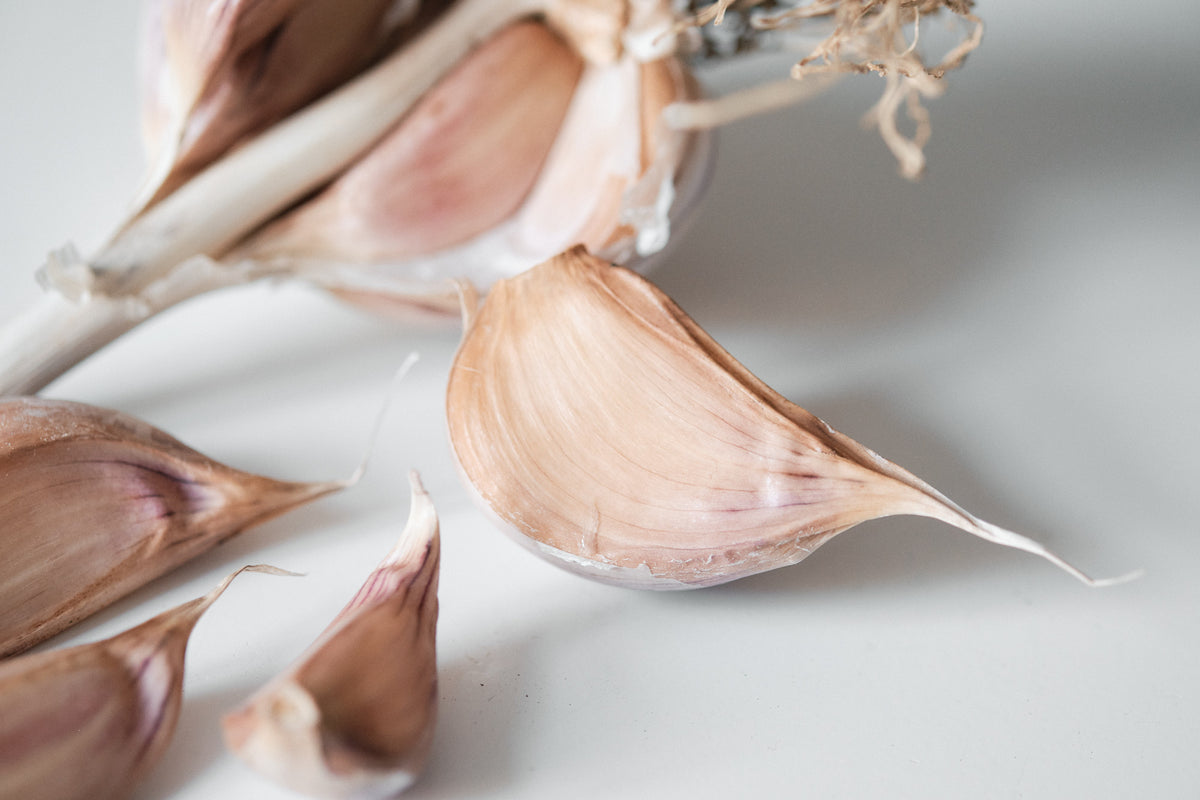 Purple Glazer (Glazed Purple Stripe Garlic)