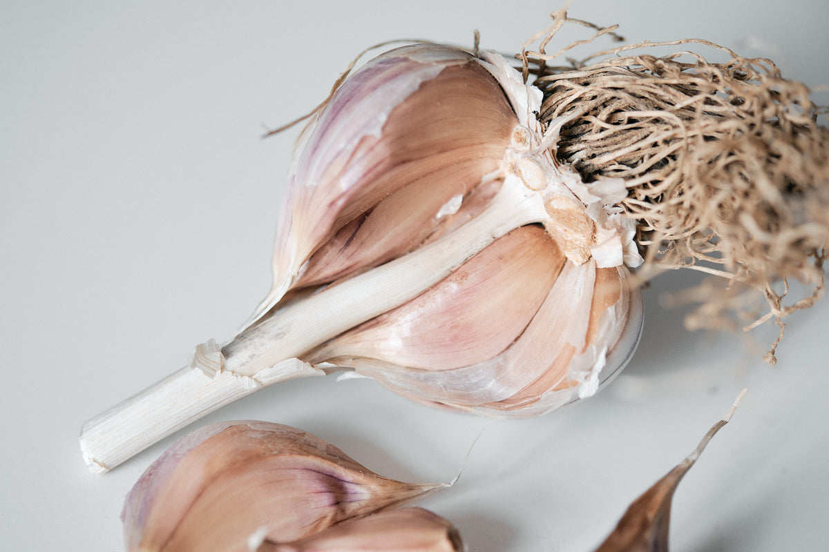 Purple Glazer (Glazed Purple Stripe Garlic)