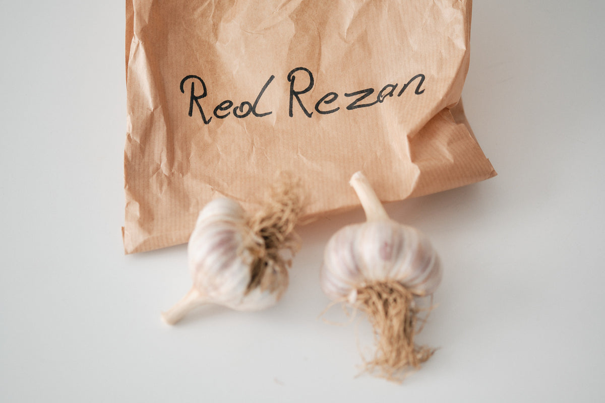 Red Rezan (Glazed Purple Stripe Garlic)