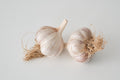 Red Rezan (Glazed Purple Stripe Garlic)