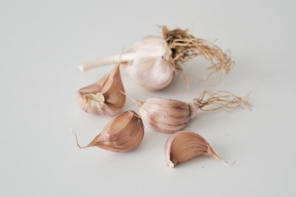 Red Rezan (Glazed Purple Stripe Garlic)